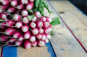 large bunch of radish for shinese herbal medicine - lai fu zi Vancouver at BodaHealth
