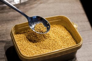 mustard seed used in Chinese medicine - bai jie zi