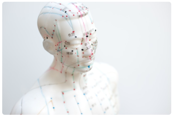 Acupuncture model showing primary points for acupuncture in Vancouver